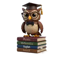 Owly